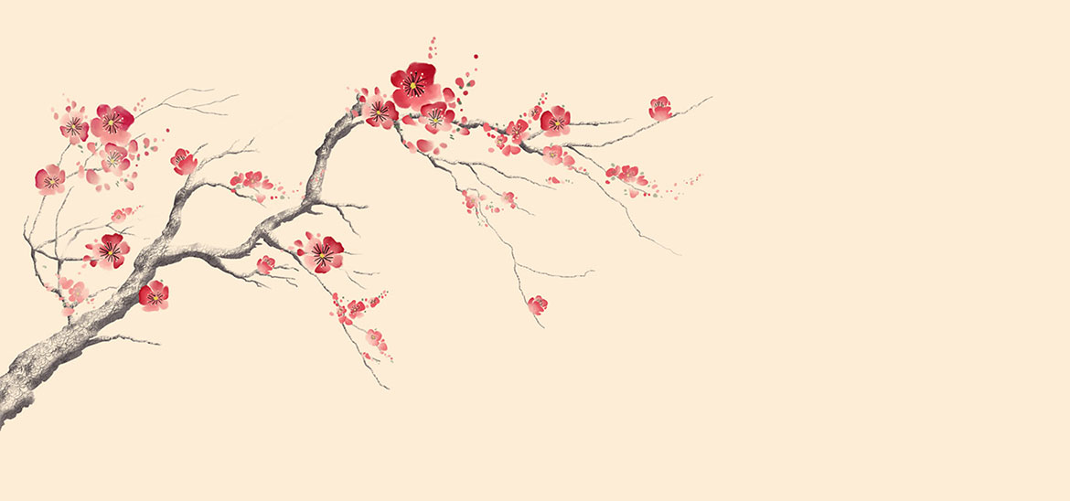 梅花手繪花鳥工筆花鳥新中式